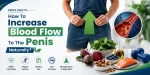 How To Increase Blood Flow To The Penis Naturally