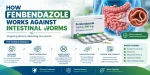 How Fenbendazole Works Against Intestinal Worms