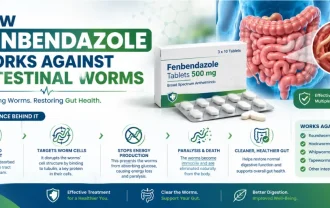 How Fenbendazole Works Against Intestinal Worms