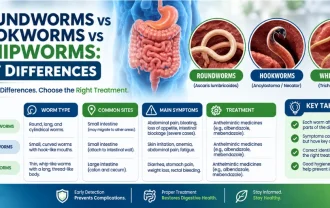 Roundworms vs Hookworms vs Whipworms_ Key Differences
