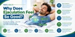 Why Does Ejaculation Feel So Good?